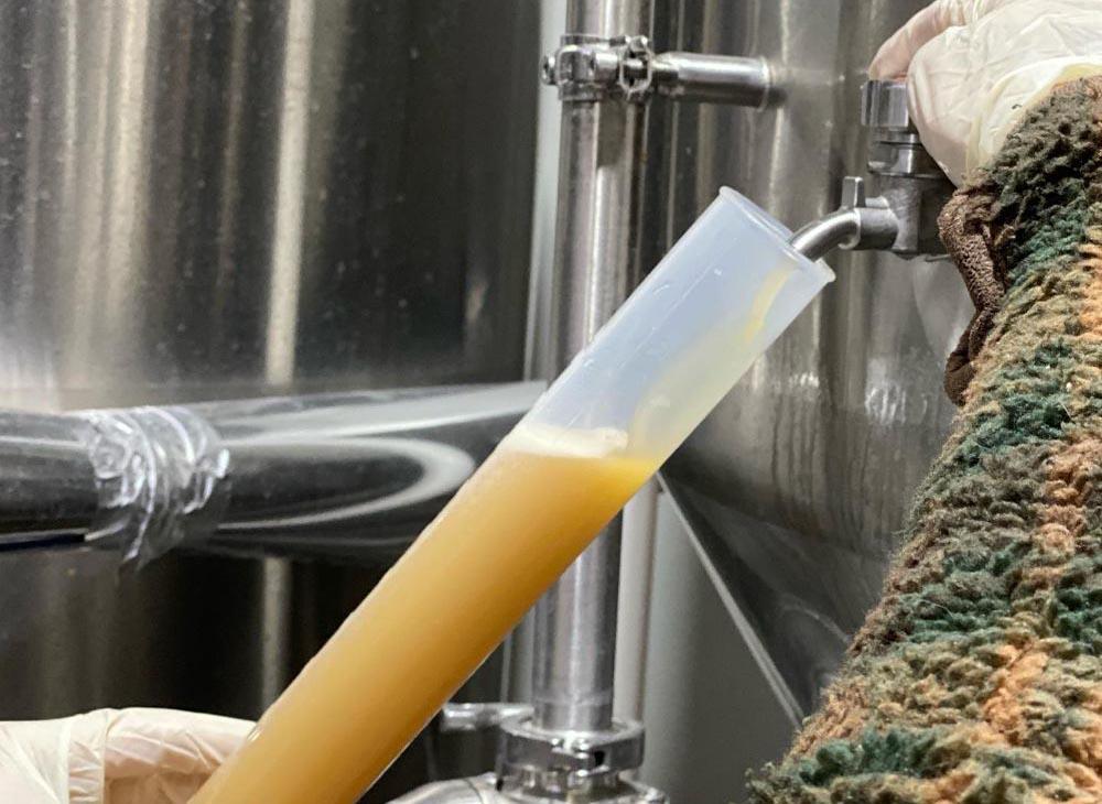 How To Carbonate And Condition a True Lager?